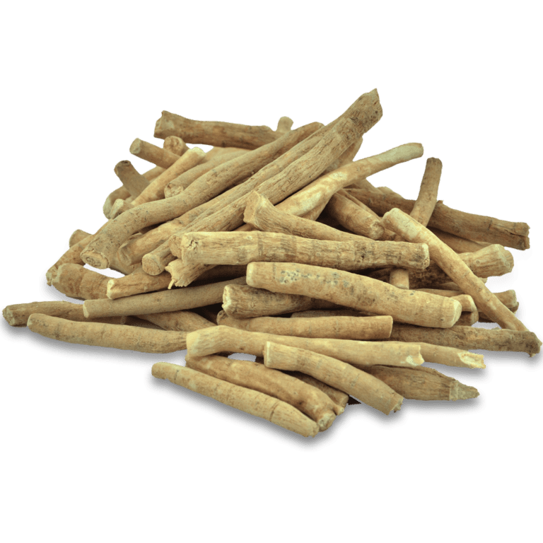 Withania_Somnifera_ashwagandha_root_and_powder_exporters_in_India