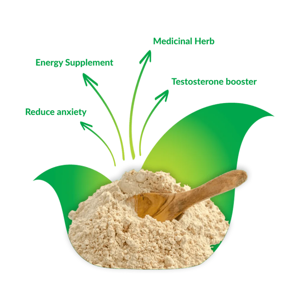 Withania_Somnifera_ashwagandha_root_and_powder_exporters_in_India