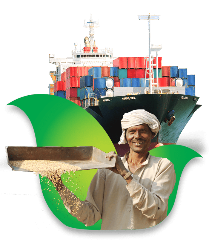 Ashwagandha_exporters_from_India_main_image