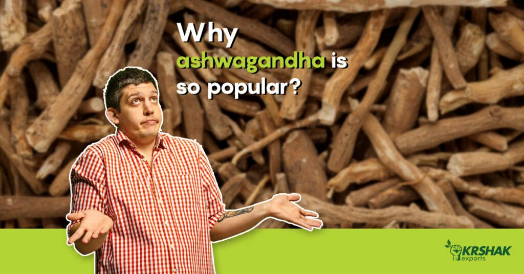 Why-ashwagandha-is-so-popular