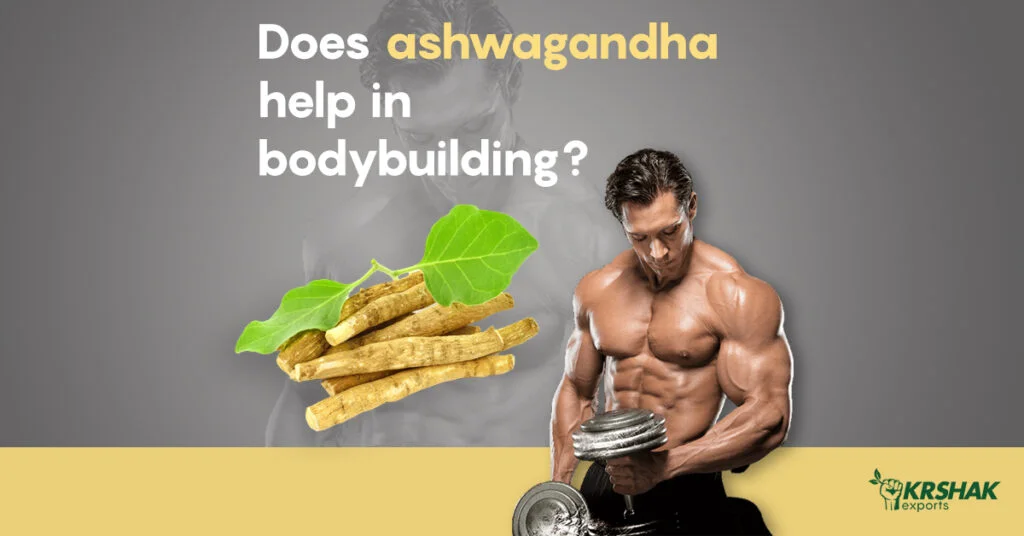 does-ashwagandha-help-in-bodybuilding