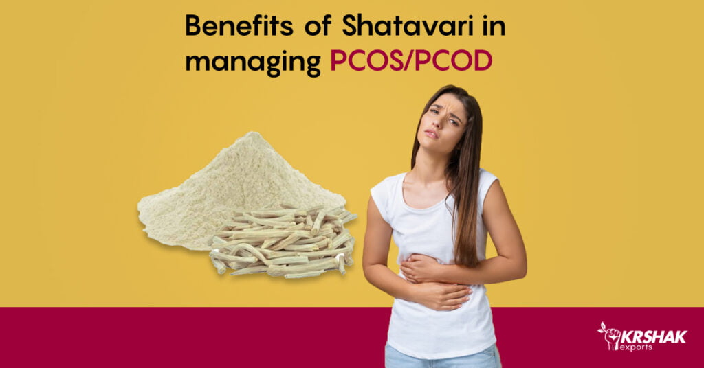 Benefits-of-Shatavari-in-managing-PCOS